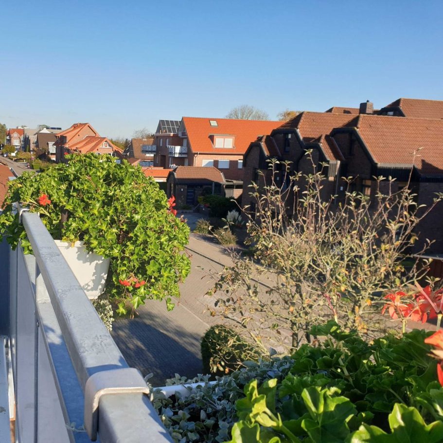 Sandweg zwischen grünem Gras, der zum ruhigen Meer führt unter blauem Himmel.